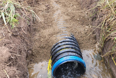 Mini-excavator cutting an access road through a wooded lot in Spirit Lake