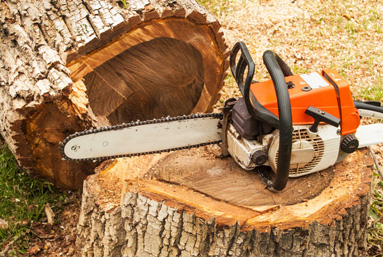 CanDigIt removing a large tree on a construction site in Post Falls