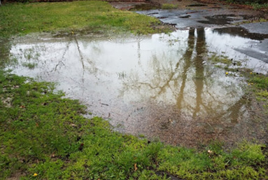 Regraded backyard to eliminate standing water and fix drainage in Spirit Lake